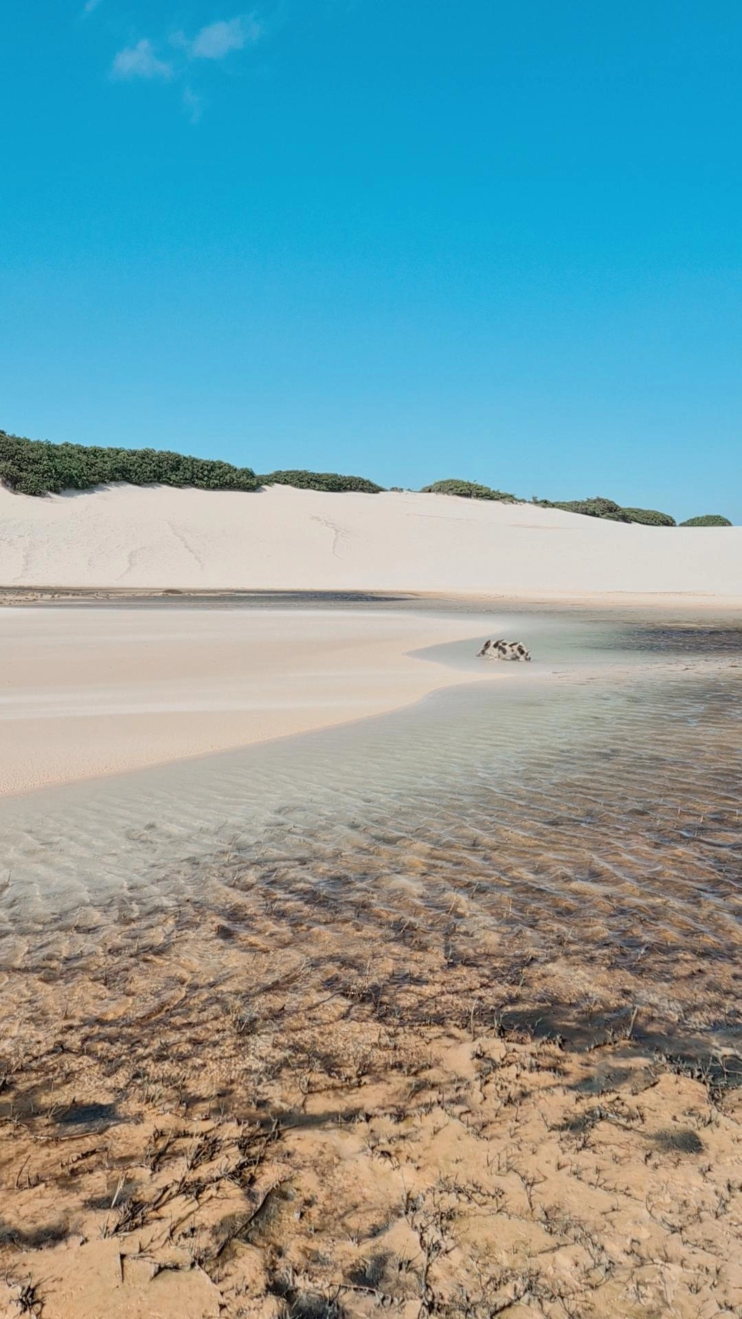 Lençóis Maranhenses